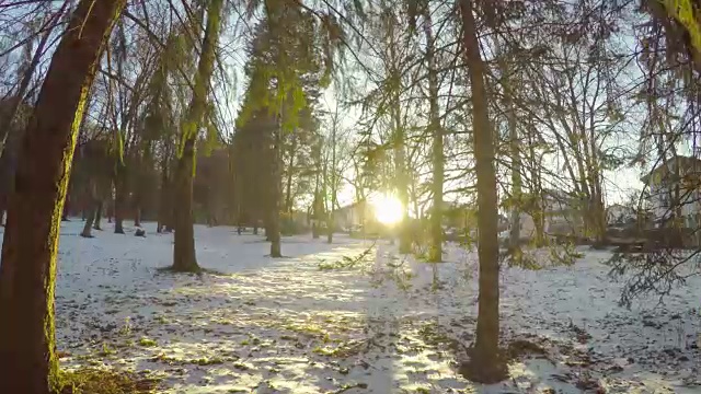 移动POV在一个美丽的冬季森林在城市公园视频素材