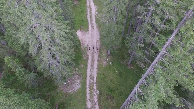 无人机拍摄的森林与徒步者攀登的道路视频素材