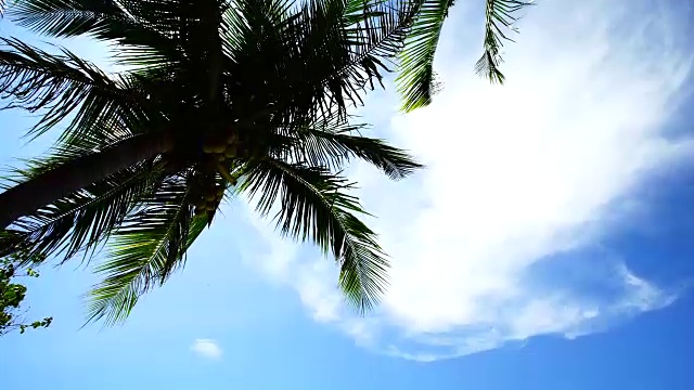 泰国安达曼海滩,海滩视频素材