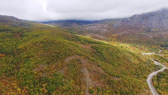 天线:蜿蜒的道路穿过有森林的丘陵地带视频素材