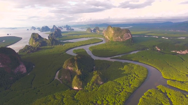 鸟瞰图的红树林在泰国，攀雅省，飞越红树林与美丽的阳光在早上视频下载