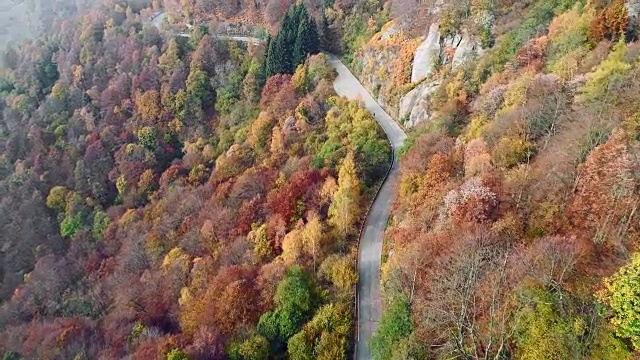 空中鸟瞰图的道路在多彩的乡村秋天的森林。秋天有橙、绿、黄、红的树林。山区街道道路的建立。4k无人机飞行直线下降建立拍摄视频素材