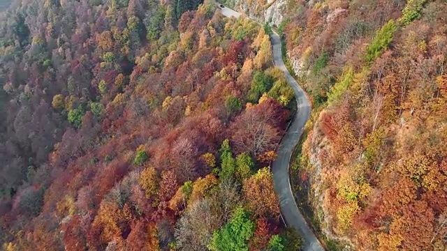 向前空中俯瞰汽车行驶在彩色的秋天森林的道路上。秋天有橙、绿、黄、红的树林。山区街道道路的建立。4k无人机飞行建立商店视频素材