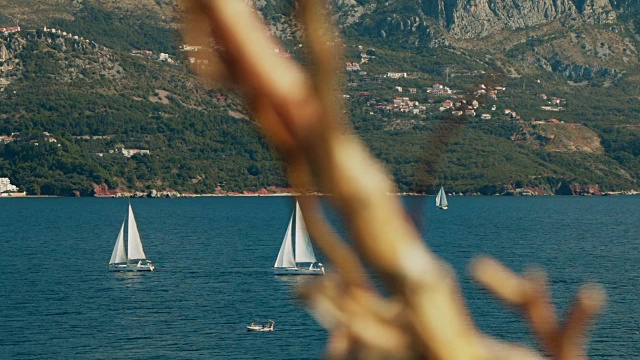 一艘帆船在美丽的亚得里亚海的地平线上视频素材