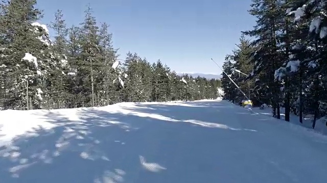 个人视角的滑雪者在美丽的松树雪道中滑雪视频素材