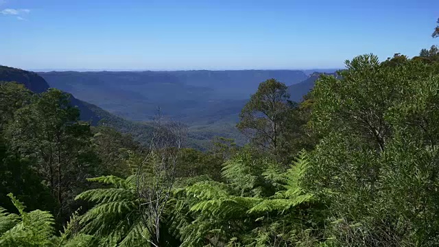 澳大利亚新南威尔士州蓝山视频下载