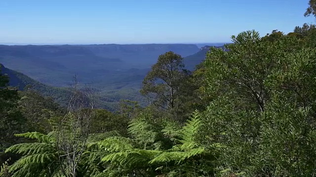 澳大利亚新南威尔士州蓝山视频下载