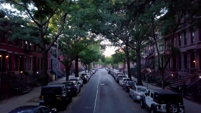 多莉拍摄的是布鲁克林一个安静的街区。视频下载