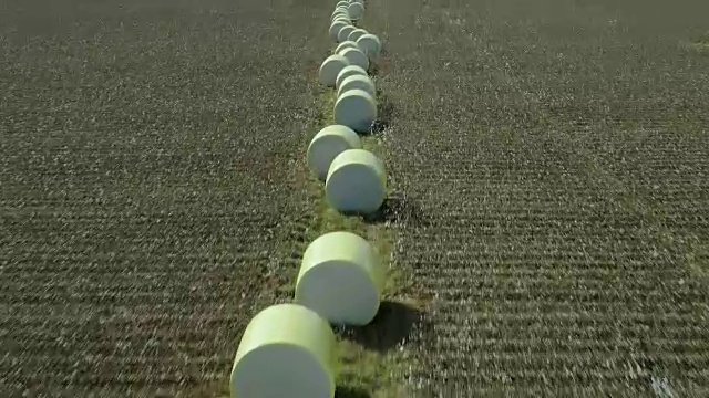 鸟瞰图上的农场打包棉花视频素材