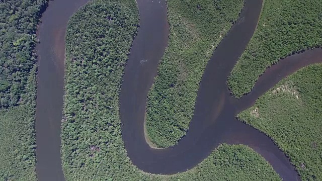 巴西热带雨林鸟瞰图视频素材