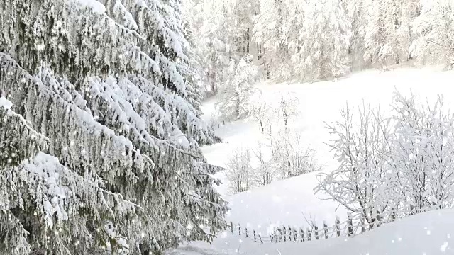 冬日仙境圣诞雪的背景视频素材