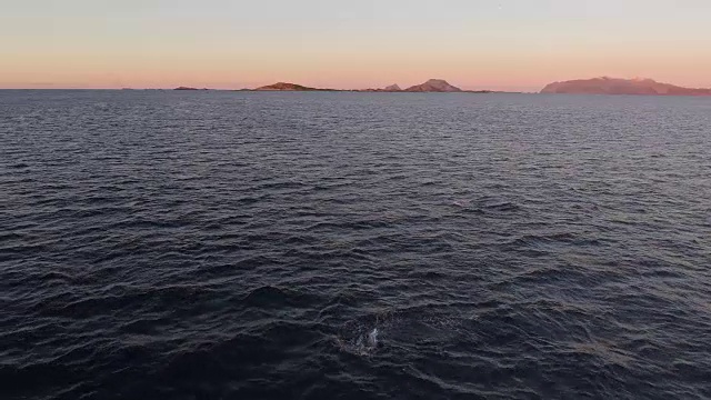 鸟瞰图:一群虎鲸在挪威神奇的时刻游泳视频下载