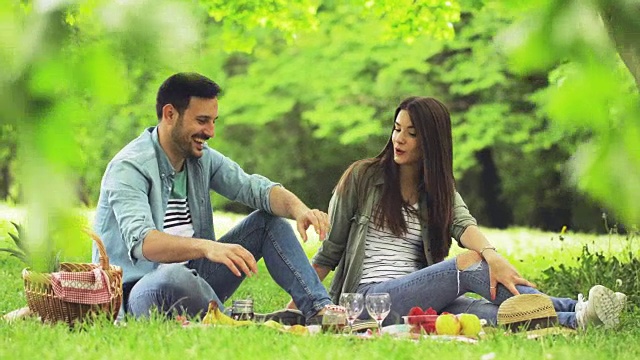一对快乐的情侣在公园里野餐，一边聊天一边喝酒。视频素材