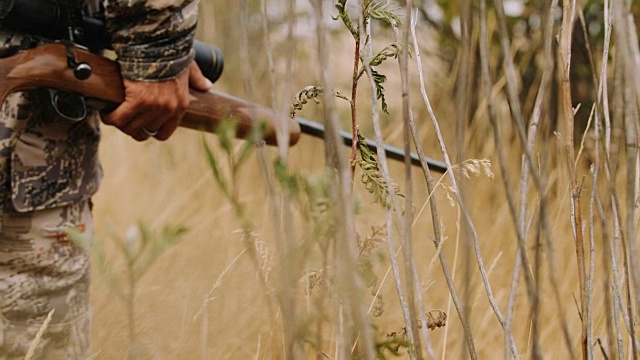 一个猎人小心翼翼地走过芦苇，手里拿着步枪，他跟踪他的猎物。视频素材