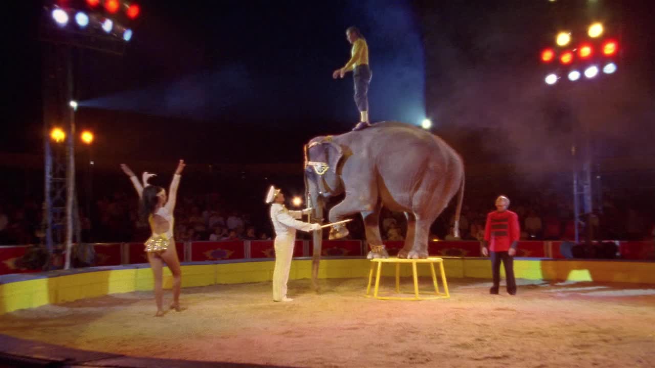 墨西哥Circo Atayde Hermanos，一名男子在大象上表演后空翻视频下载