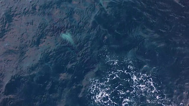 一群虎鲸在挪威北部游泳的鸟瞰图视频下载