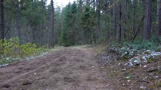 拍摄森林中冰冻肮脏的踪迹视频下载