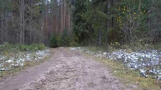 森林里结冰的肮脏小径的录像视频下载