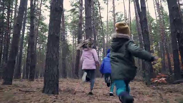 孩子们在森林里跑向妈妈和奶奶视频素材