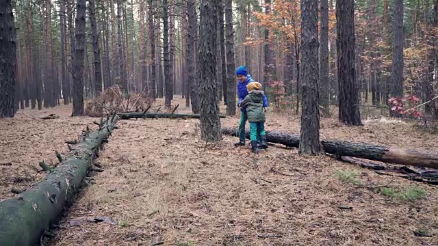 秋日，两兄弟在森林里玩捉人游戏视频素材