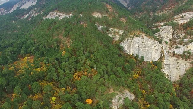 天线:绿色山地针叶林视频素材