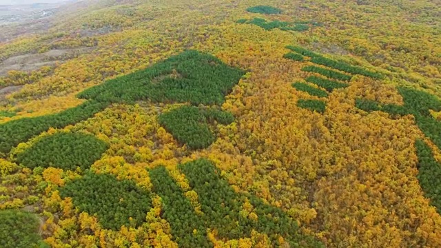天线:山上五颜六色的秋林视频素材