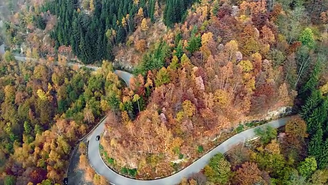 向前空中俯瞰汽车行驶在彩色的秋天森林的道路上。秋天有橙、绿、黄、红的树林。山区街道道路的建立。4k无人机飞行建立商店视频素材
