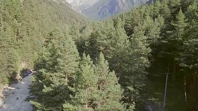 汽车在森林和山脉之间的公路上行驶。汽车旅行家庭度假视频素材