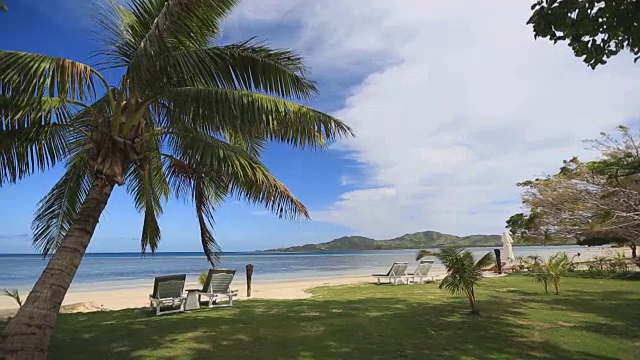 棕榈树和椅子在马马努卡群岛的洛马尼岛度假村的海滩上视频下载