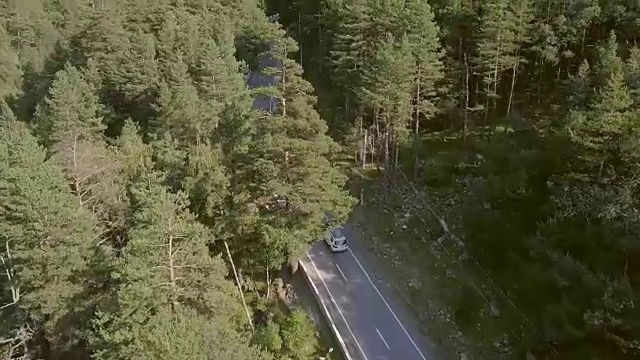 汽车在绿色森林中的高速公路上行驶。鸟瞰图汽车行驶在郊区视频素材