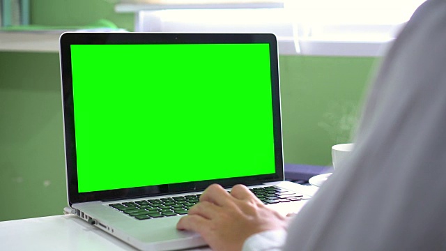 多莉:用绿色屏幕的笔记本电脑视频下载