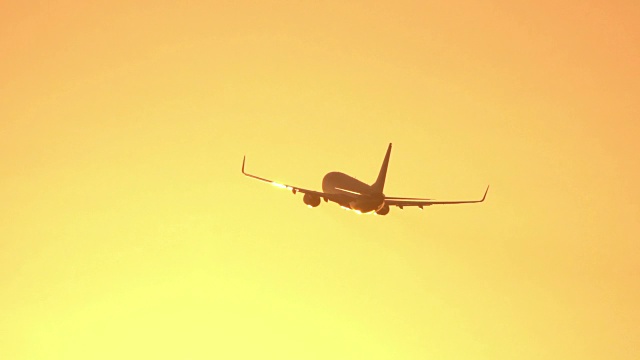 货运飞机在金色的晨曦中运送和运输货物视频素材