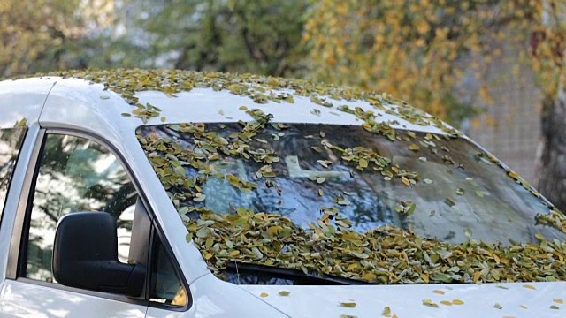 秋天的树叶落在车上。视频下载