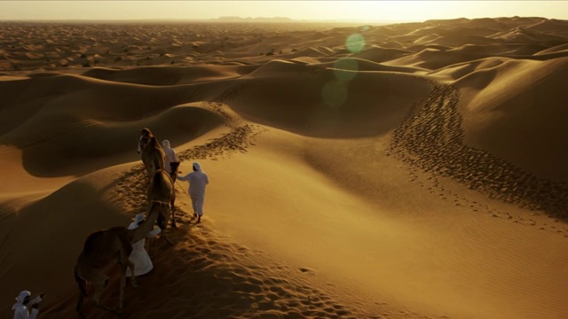 骆驼火车穿越沙漠的空中嗡嗡声视频下载