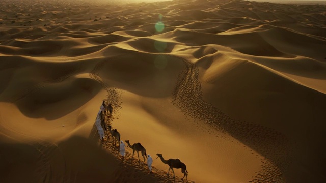 沙漠中骆驼车队的无人机视频下载