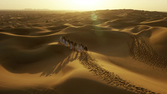 驯兽师带领着骆驼的无人机视频下载