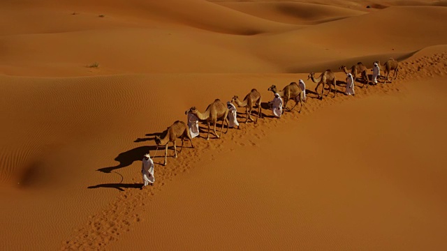 中东公骆驼主人的无人机视频下载