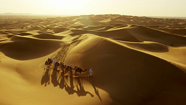 骆驼火车穿越沙漠的空中嗡嗡声视频素材