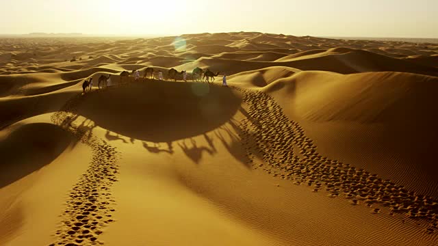 骆驼火车穿越沙漠的空中嗡嗡声视频下载