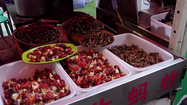 卖肉、虾、昆虫的摊位在中国亚洲视频下载