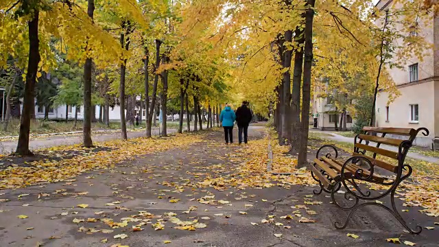 城市里的秋天公园。时间流逝。视频素材