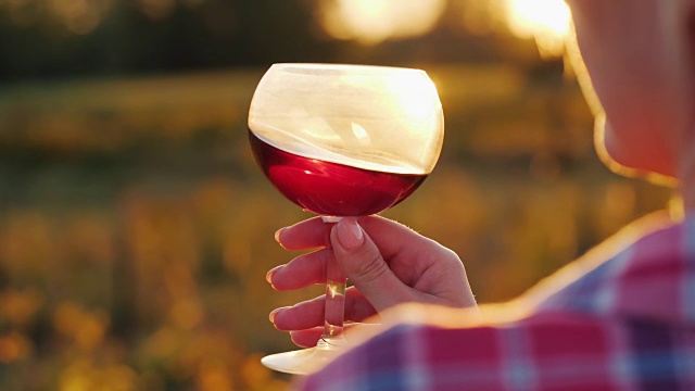 在葡萄田和夕阳的背景下，手拿一杯葡萄酒视频素材