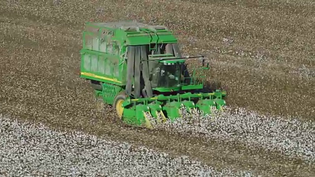 农场上棉花收割机的航拍视频素材