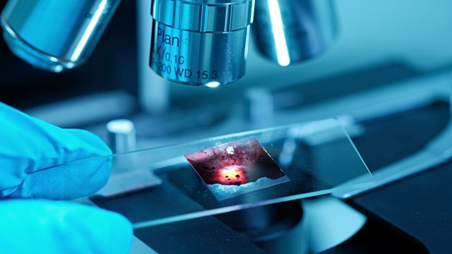 科学家正在生物实验室中使用显微镜视频素材