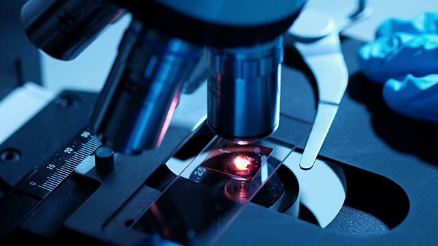 科学家在生物实验室中使用显微镜视频素材