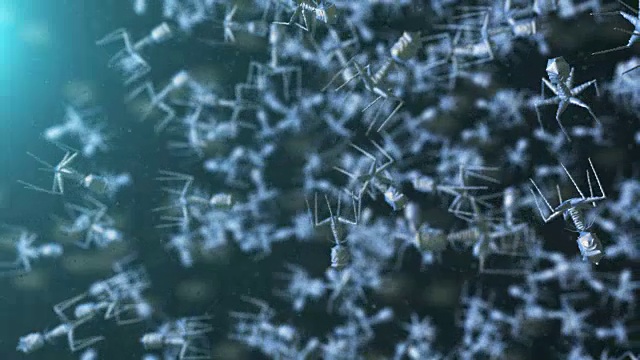 噬菌体感染细菌视频下载