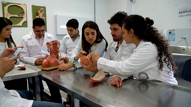 解剖课上在实验室的一组医学生视频下载
