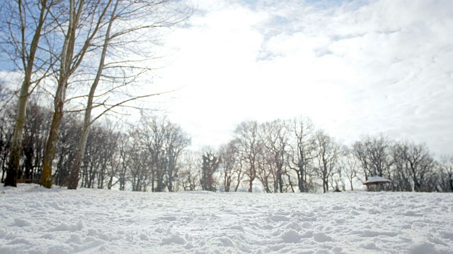 后视图的一组运动员在雪地上慢跑的大自然。视频素材