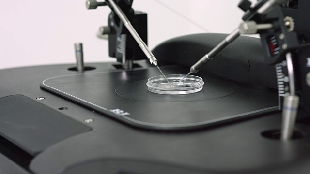 胚胎学家在实验室里使用科学设备工作视频素材