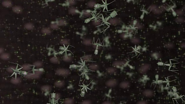 噬菌体感染细菌视频下载